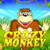 Crazy Monkey